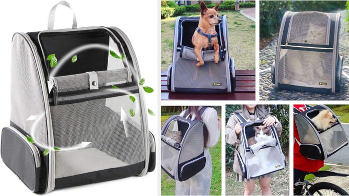The stylish pet backpacks