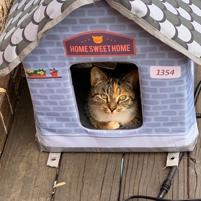 A cat is resting inside a brick-style shelter.