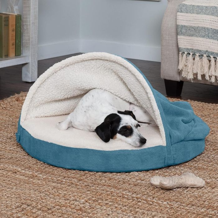 Dog relaxing in the suede blue bed