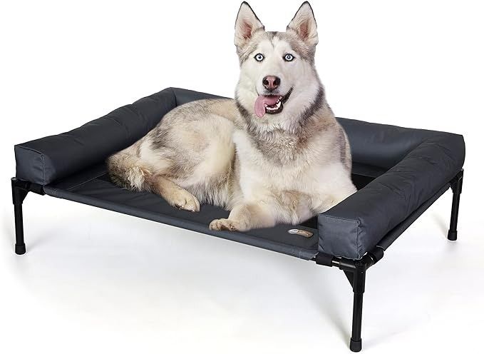 Husky lounging on the elevated bed