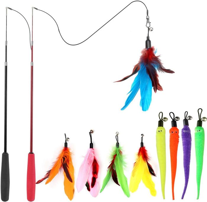 A variety of cat toys, including feather wands and colorful worm-like attachments on hooks, designed to stimulate and entertain your feline friend.