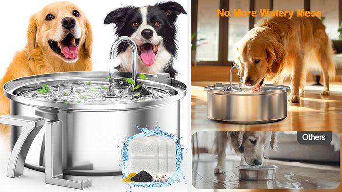 Dogs drinking from the stainless steel water fountain