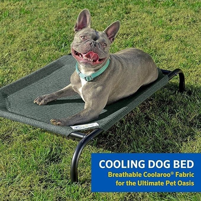 Dog relaxing on the cooling bed