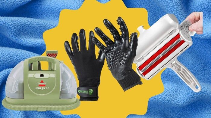 A Bissell Little Green carpet and upholstery cleaner, a set of grooming gloves, and the Chom Chom reusable lint roller.