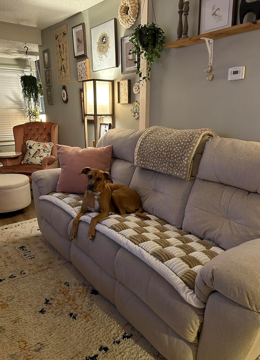 A reviewer’s couch adorned with a green and white sofa cover.