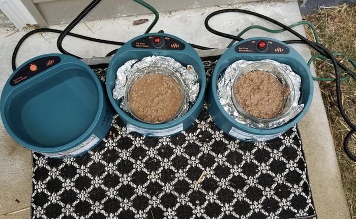 Three heated pet bowls sit on a doormat; one is empty, while the other two are filled with pet food.