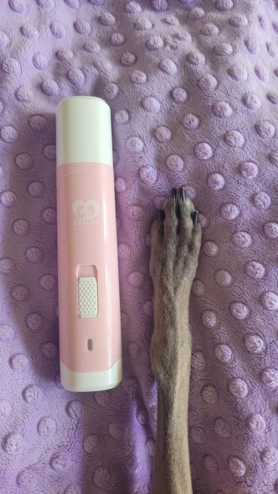 Photo shared by the reviewer showing the trimmer beside a paw