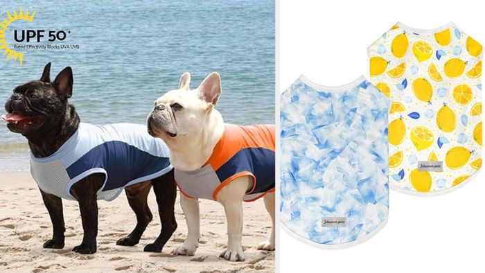 Dogs wearing the tees and the tees shown side-by-side