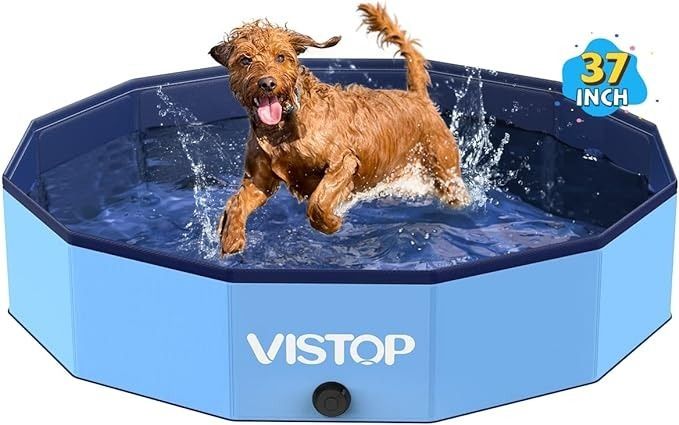 A dog enjoying the portable pool