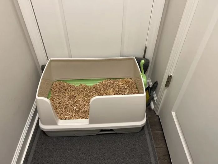 A cat litter box filled with litter, placed in a corner of the room.