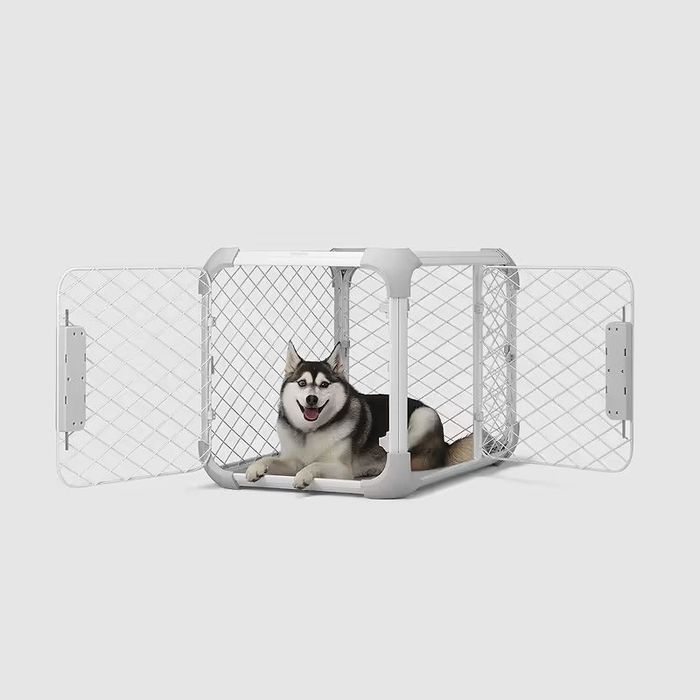A dog relaxing inside a wire pet playpen with gates wide open, as seen in a shopping catalog.