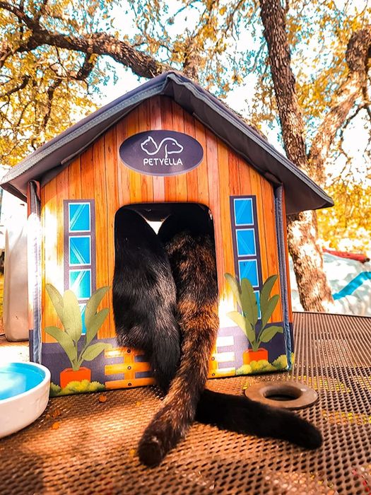 Two cats are squeezed into a wood-style shelter, their tails poking out from the edges.
