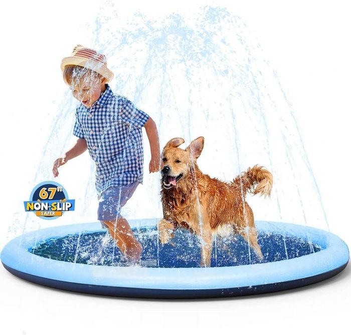 A dog and a child enjoying the splash pad together