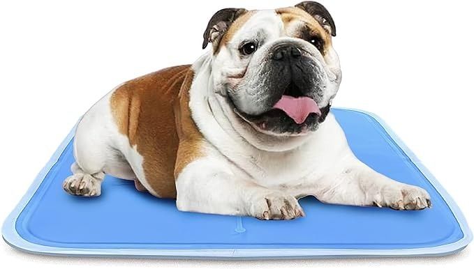 A bulldog enjoying the cooling mat