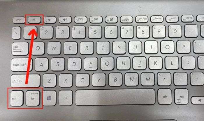 Sử dụng phím F1 để ẩn hiện thanh công cụ