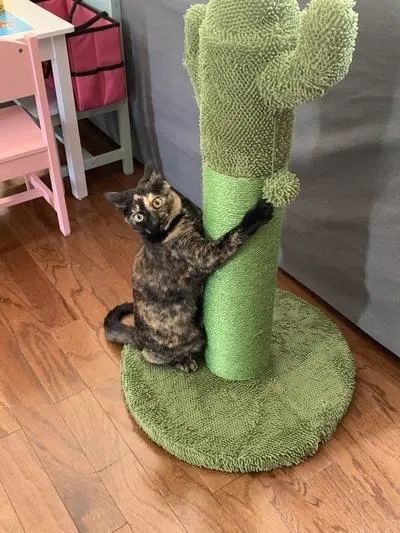 A cat hanging onto a green, tree-shaped scratching post.