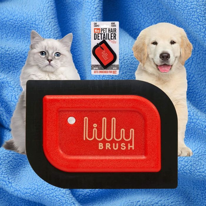 A cat, a dog, and a Lilly Brush Mini Pet Hair Detailer sit atop a box, resting on a soft blue blanket.