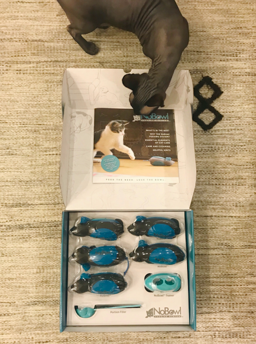 A Mytour writer’s cat checking out the box the mice come in