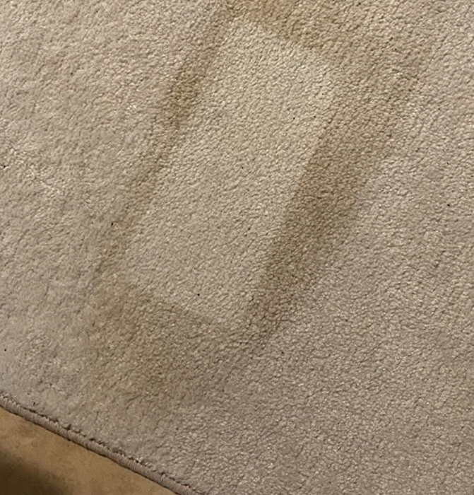 Photo showing a clean rectangle surrounded by the stain, highlighting the pad's effectiveness during a spot test.