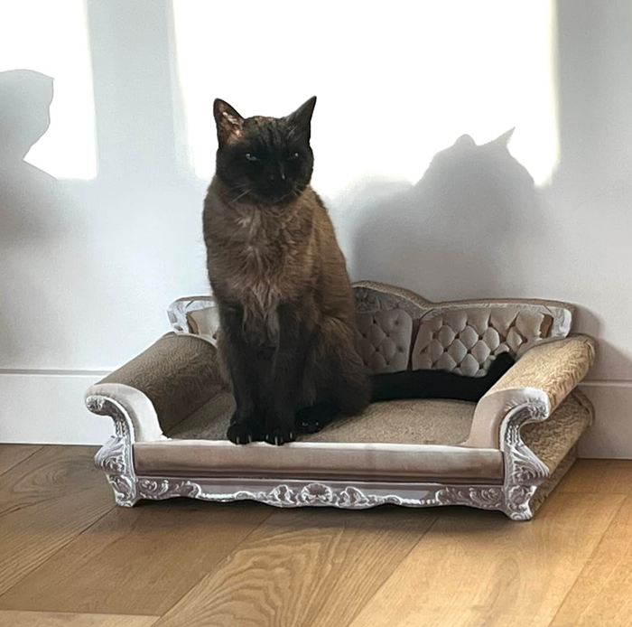 a reviewer’s cat lounging on the sofa-shaped scratcher
