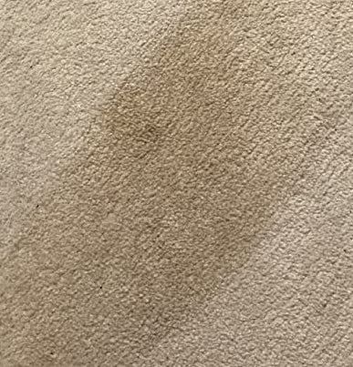 Photo of a noticeable stain on a light beige carpet.