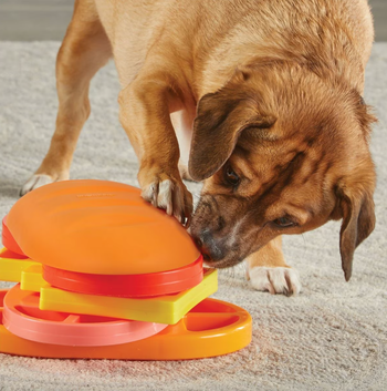a dog enjoying the puzzle toy