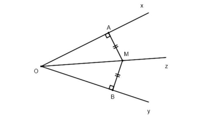 An angle bisector is a line that divides an angle into two equal parts.