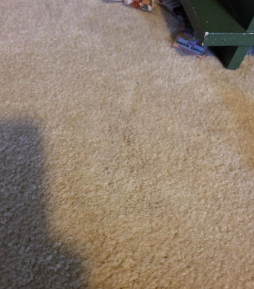 The same reviewer's carpet is now completely free of the stain, looking as good as new.