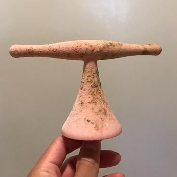 A reviewer holding a birdcage perch covered in droppings