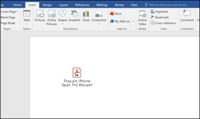 Tệp PDF được chèn vào Word sẽ trông như minh họa bên dưới