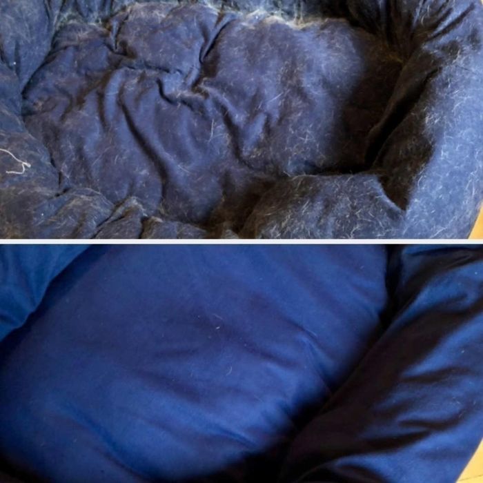 At the top, a dog bed covered in fur, and at the bottom, the same bed now looking fur-free.