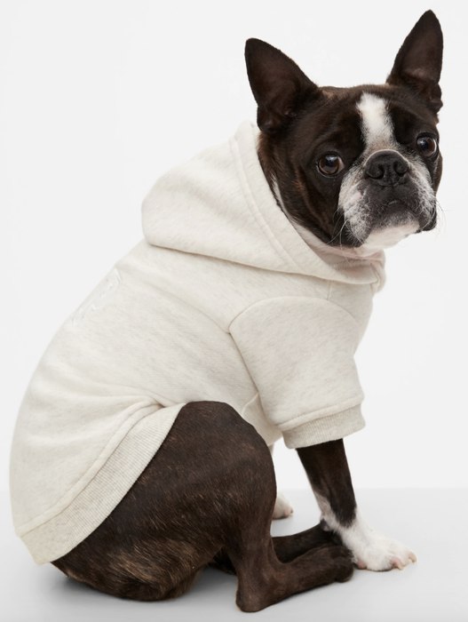 A dog modeling a white Gap hoodie, looking cozy and cute.