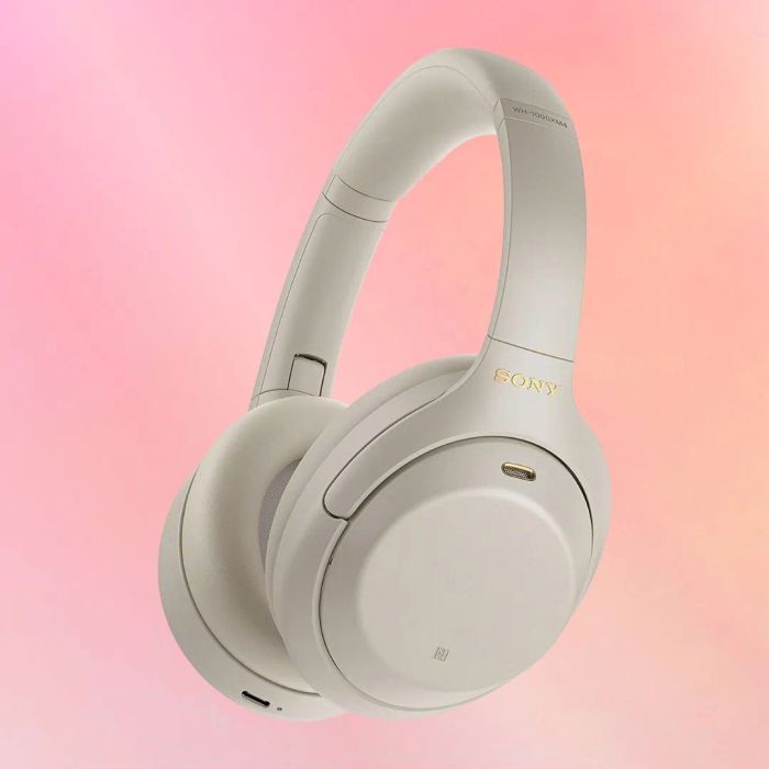The silver headphones