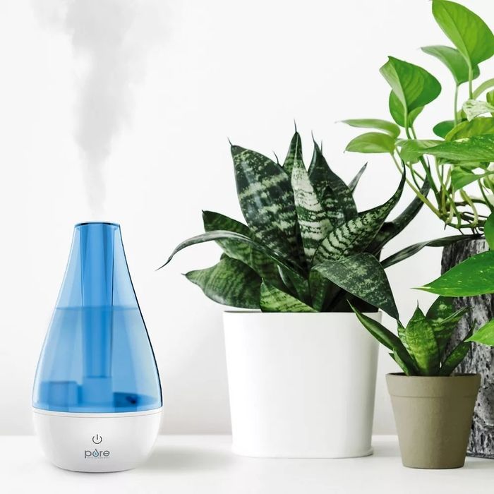 A room humidifier placed next to potted plants on a white surface