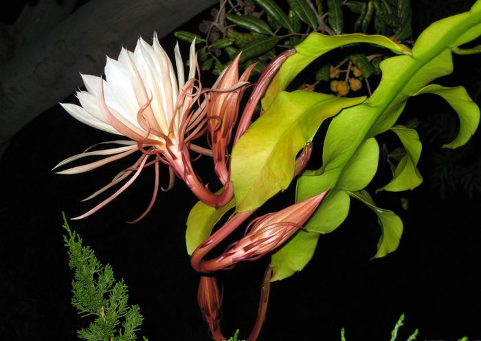 Nhấn vào biểu tượng dấu tick hoặc biểu tượng Lưu