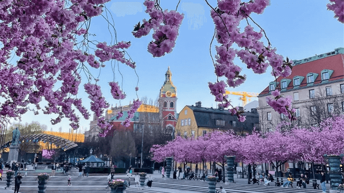 Traveling to Northern Europe in spring