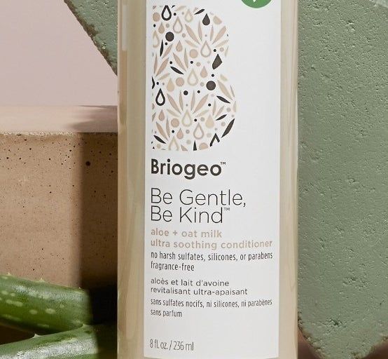 A bottle of Briogeo Be Gentle, Be Kind shampoo placed beside aloe and pampas grass. The text reads: 