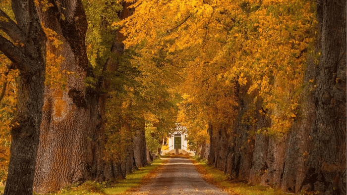 When is the best time to visit Northern Europe? - Autumn