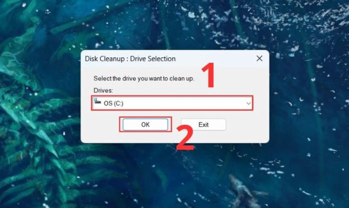 Để dọn rác trên Windows 11, hãy chọn ổ đĩa C trong mục Drives và nhấn OK