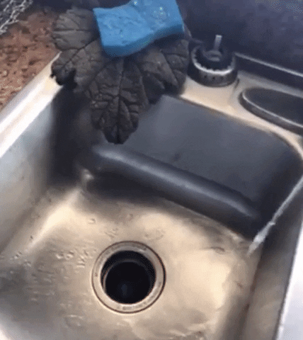 Blue foam rising from the drain as the garbage disposal cleans the blades by breaking down the cleaning packet