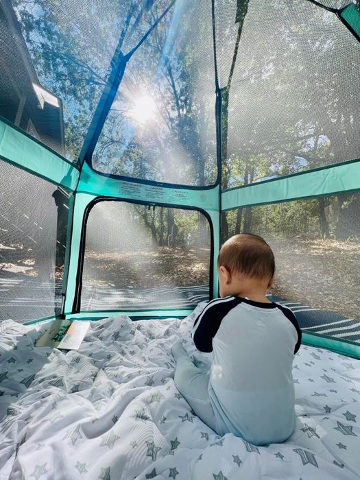 A baby sits comfortably inside a tent, gazing out at the forest beyond, taking in the sights.