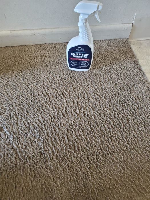 The same carpet, now spotless, after being treated with the stain remover spray, showcasing the impressive results.