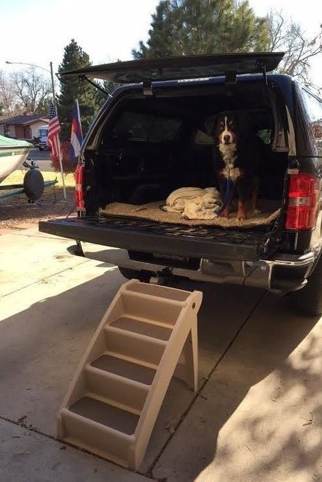 reviewer photo of their dog in the back of a truck with the pet steps in place