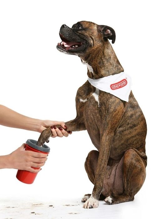A brindle dog with a white bandana has its paw cleaned using a red grooming tool