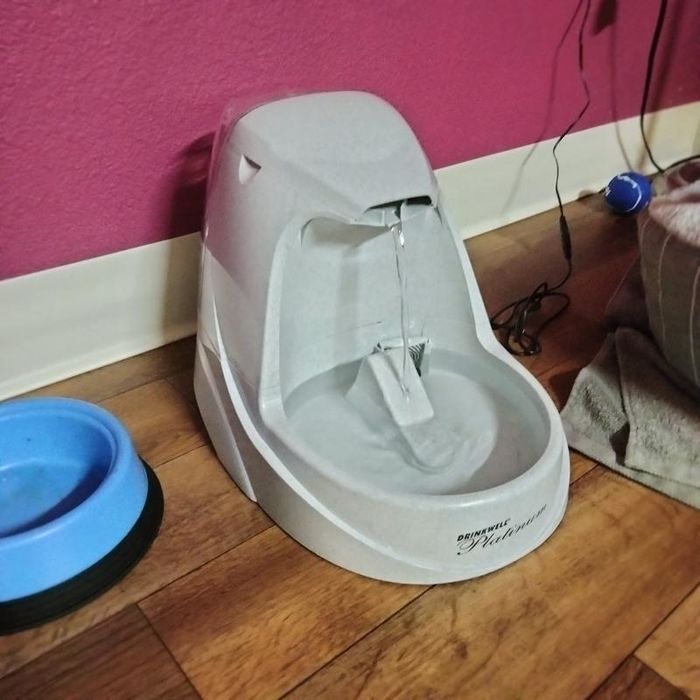 A reviewer’s photo of the Drinkwell pet fountain in the 168-ounce capacity size