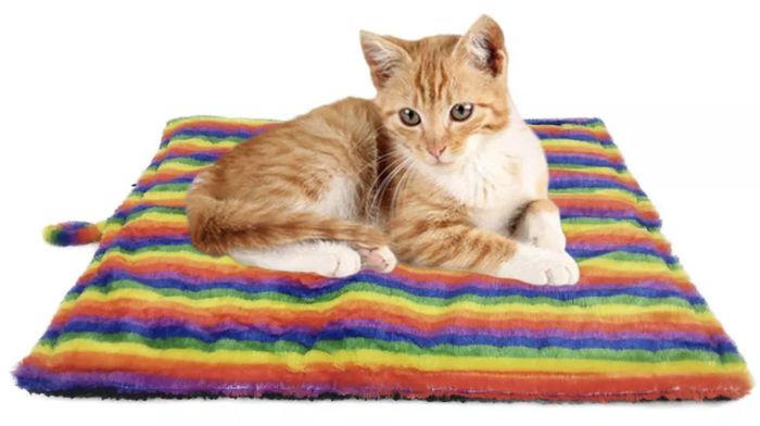 A kitten rests on a soft, striped mat, with a matching tail piece neatly placed in the corner.