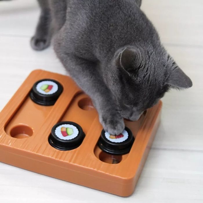 A cat playing with a puzzle