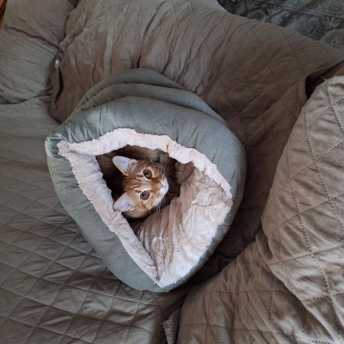 A curious cat peeking out from a snug pet bed placed on a quilted blanket