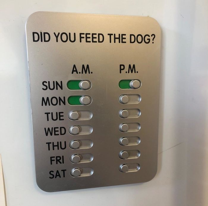 A photo from a reviewer showcasing the 'Did you feed the dog?' tool, with the days of the week listed and switches for AM and PM. Sunday AM and PM, along with Monday AM, are highlighted.