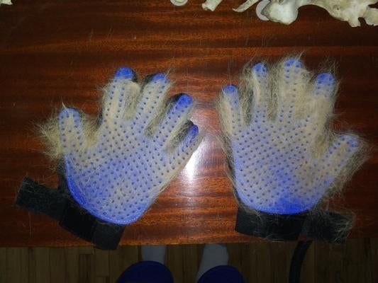 The gloves covered in a layer of collected fur